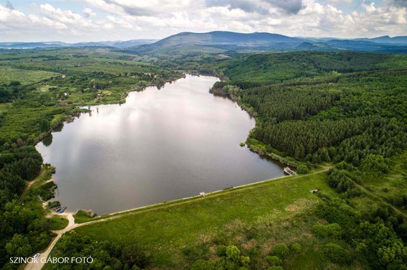 társkereső szavanna ga